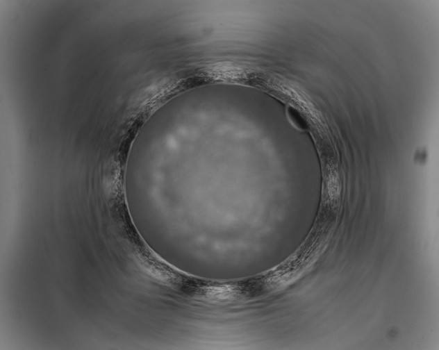 X0000097980411200804211043