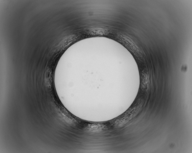 X0000097980414200804211043