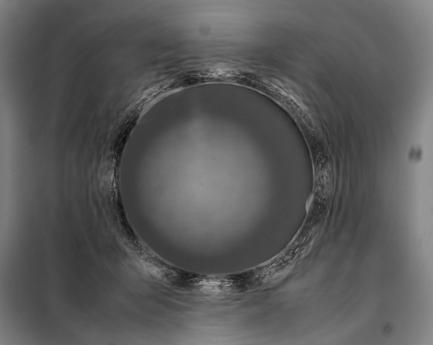 X0000097980415200804211043