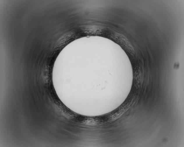 X0000097980416200804211043