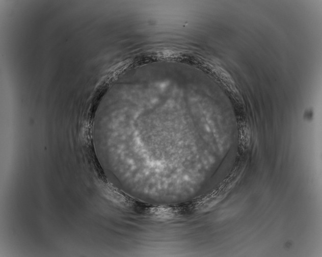 X0000097980419200804211043