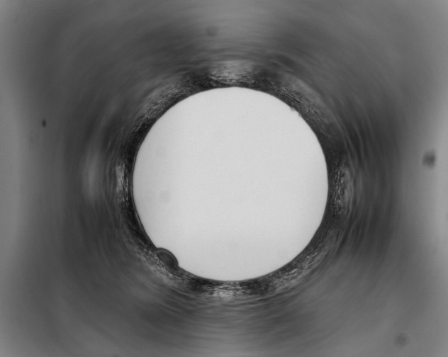 X0000097980420200804211043