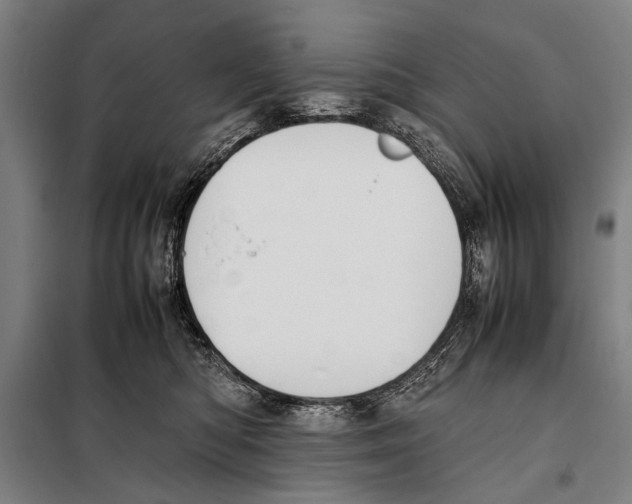 X0000097980422200804211043