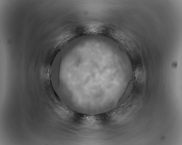 X0000097980423200804211043