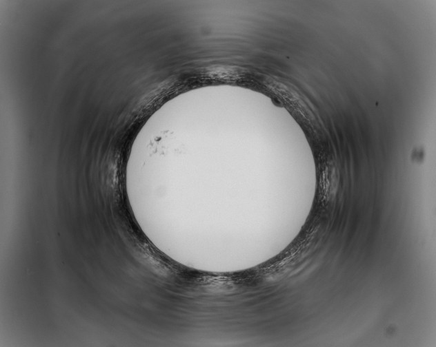 X0000097980424200804211043