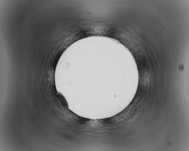 X0000097980425200804211043