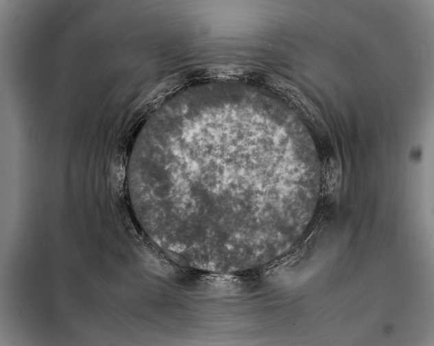 X0000097980427200804211043