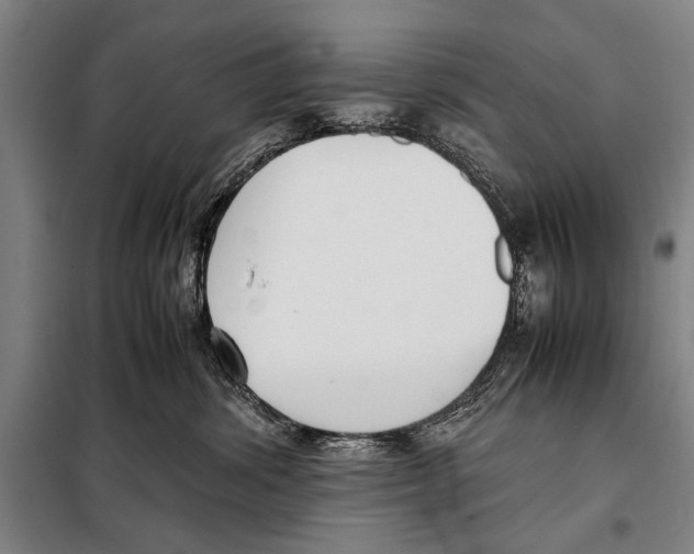 X0000097980428200804211043