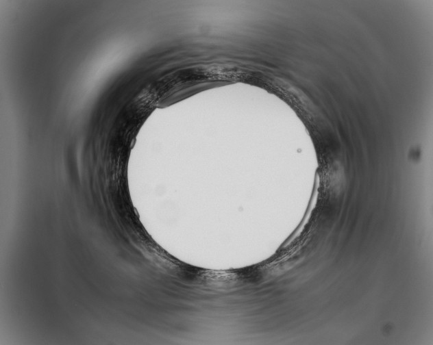 X0000097980429200804211043