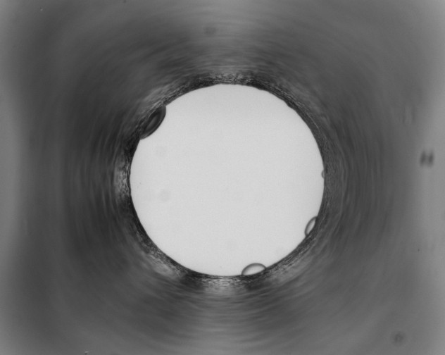 X0000097980432200804211042