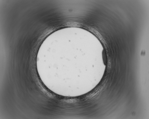 X0000097980433200804211042