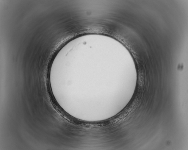 X0000097980434200804211042