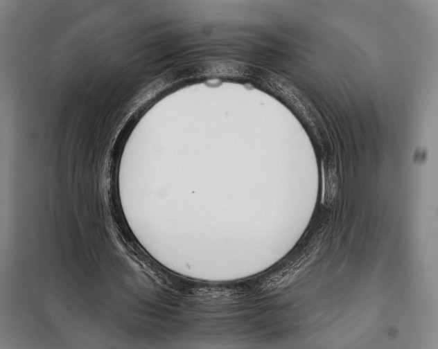 X0000097980435200804211042