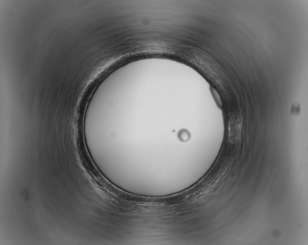 X0000097980436200804211042