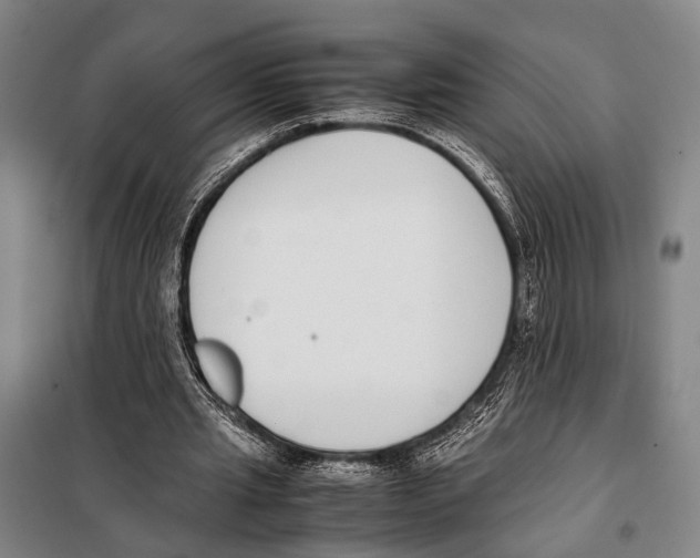 X0000097980437200804211042