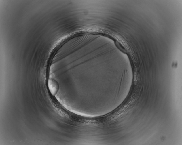 X0000097980438200804211042