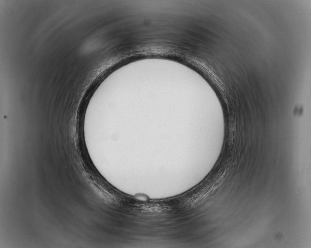 X0000097980439200804211042