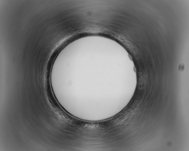 X0000097980440200804211042