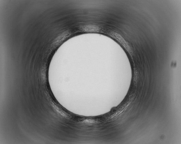 X0000097980441200804211042