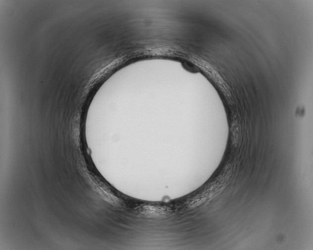 X0000097980442200804211042