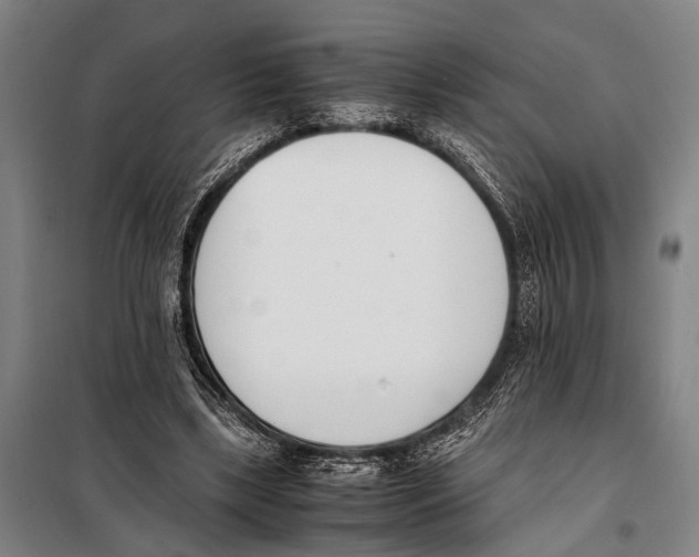 X0000097980443200804211042