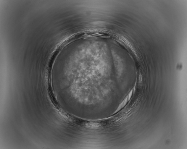 X0000097980444200804211042