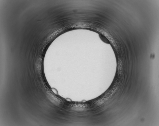 X0000097980445200804211042