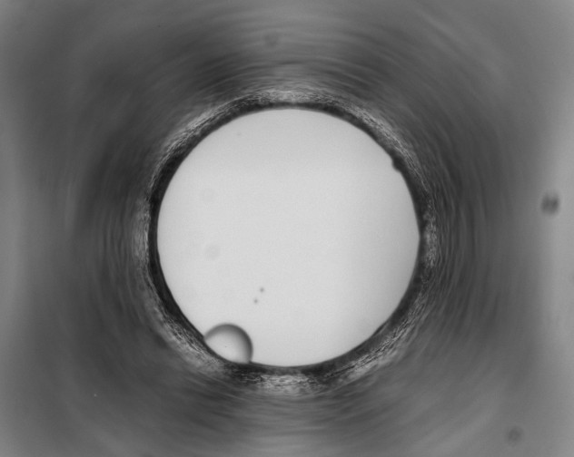 X0000097980446200804211042