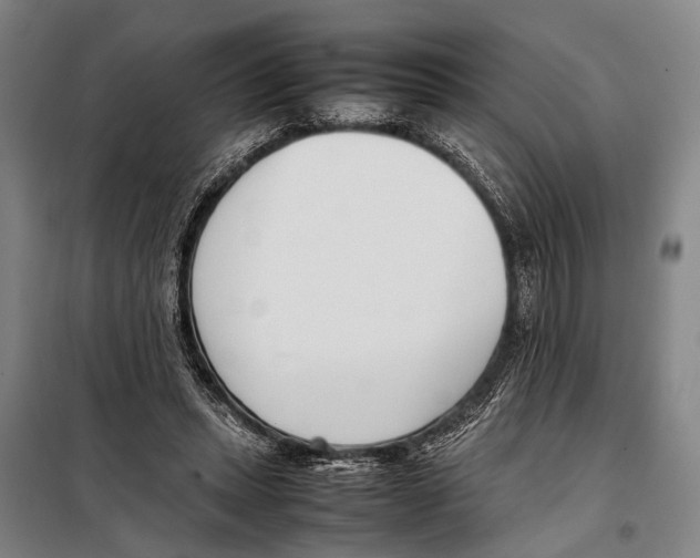 X0000097980447200804211042