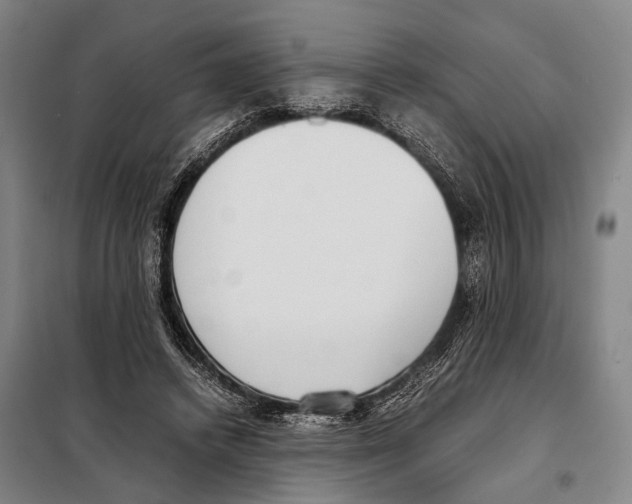 X0000097980448200804211042