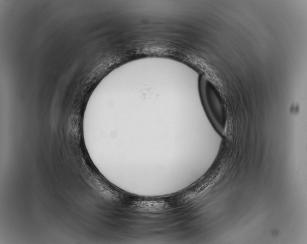 X0000097980449200804211042