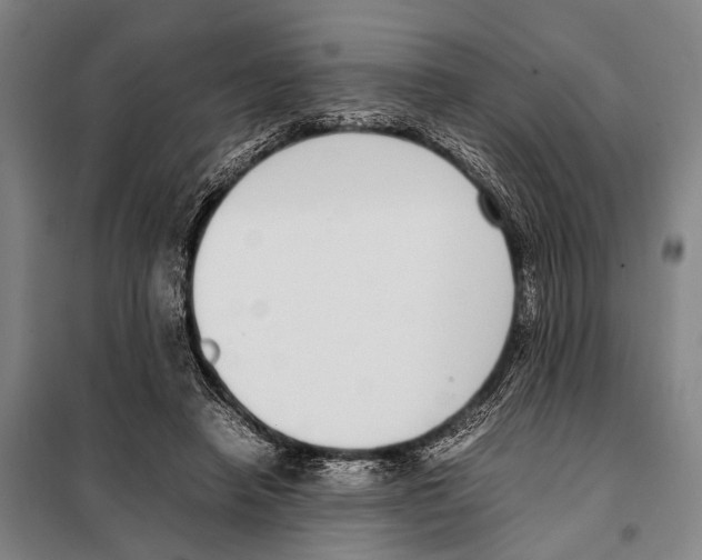 X0000097980450200804211042