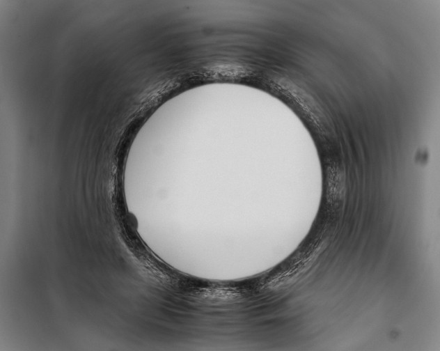 X0000097980451200804211042