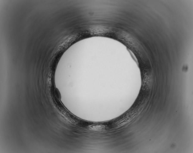 X0000097980452200804211042