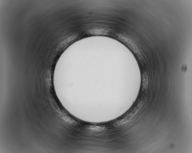 X0000097980453200804211042