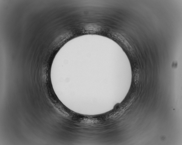 X0000097980455200804211042