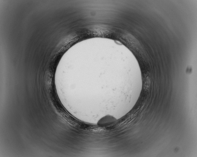 X0000097980456200804211042