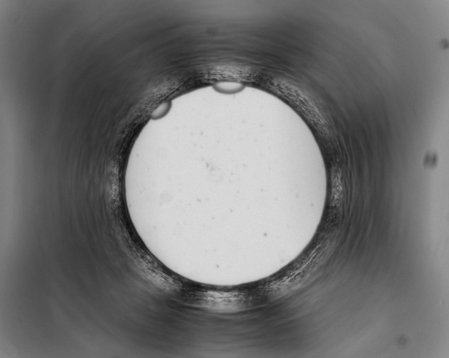 X0000097980457200804211042