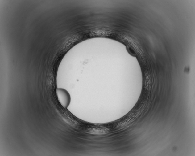 X0000097980459200804211042