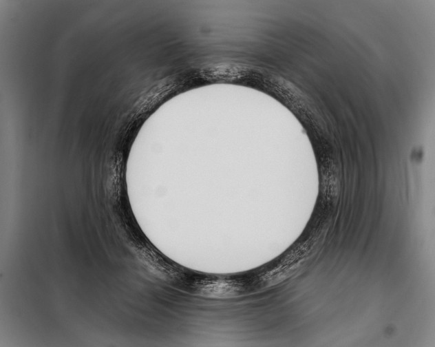 X0000097980460200804211042