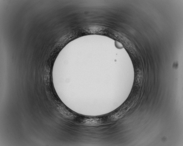 X0000097980461200804211042