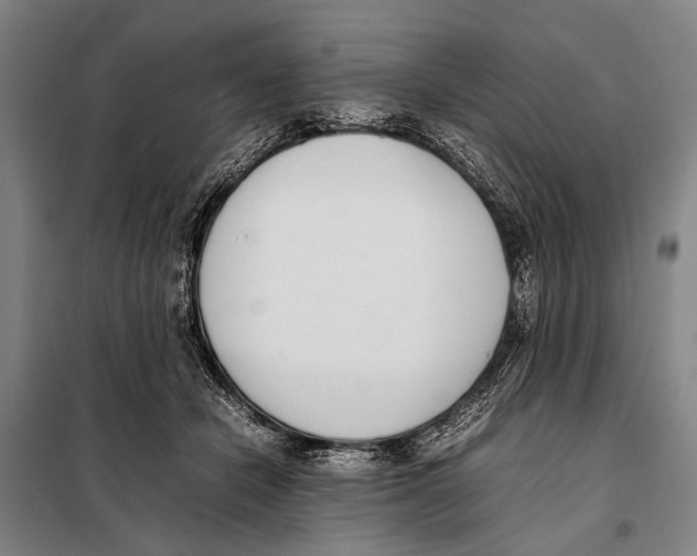 X0000097980462200804211042