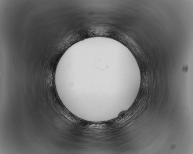 X0000097980465200804211042