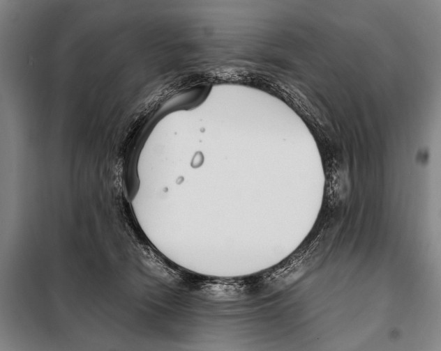 X0000097980466200804211042