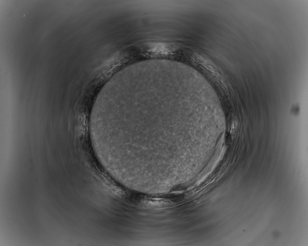 X0000097980467200804211042