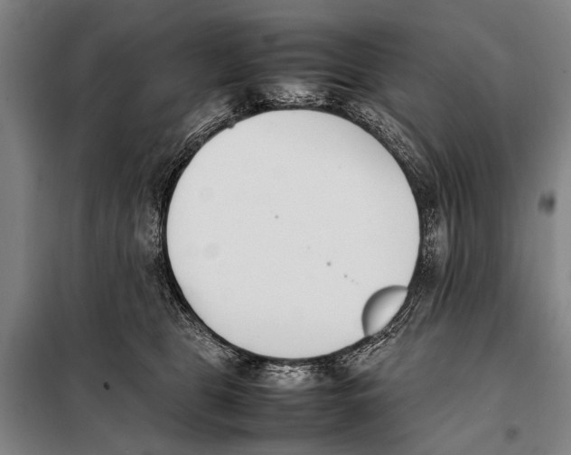 X0000097980469200804211042