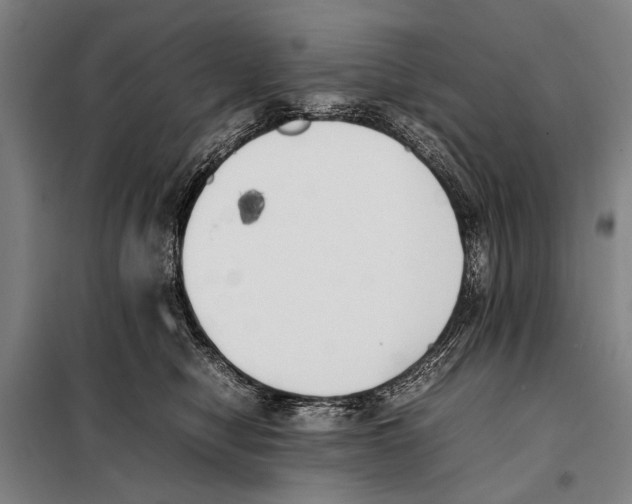 X0000097980470200804211042