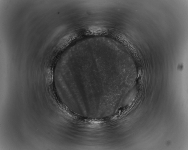 X0000097980471200804211042