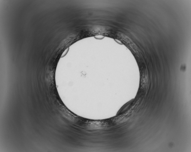 X0000097980473200804211042