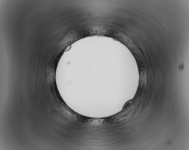 X0000097980474200804211042